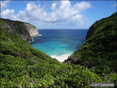 Anse Bois d'inde